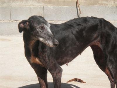 Bula – Grazile Beauty hat Liebe und Dankbarkeit zu verschenken!