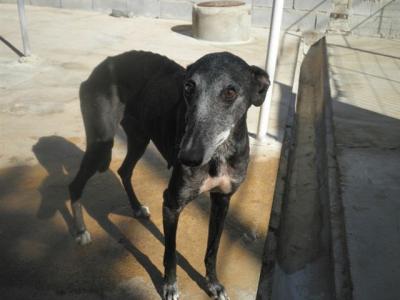 Bula – Grazile Beauty hat Liebe und Dankbarkeit zu verschenken!