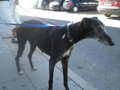 Bula – Grazile Beauty hat Liebe und Dankbarkeit zu verschenken!