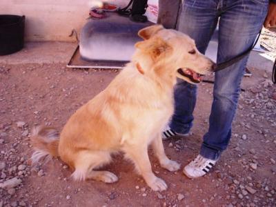 Balta – Bildschöne Ausdauerknutscherin sucht Ihresgleichen!