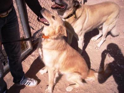 Balta – Bildschöne Ausdauerknutscherin sucht Ihresgleichen!