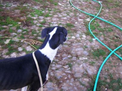 Oli – 100 % auf Couch Kurs!