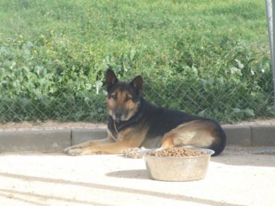 Donovan – Bin ich wirklich Mr. Chancenlos???!!!