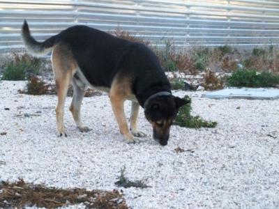 Donovan – Bin ich wirklich Mr. Chancenlos???!!!