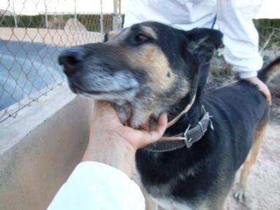 Donovan – Bin ich wirklich Mr. Chancenlos???!!!