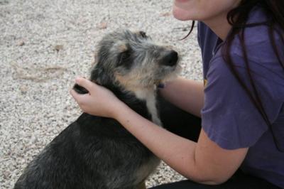 Nora – Vorsicht, Welpenknutschie nimmt Familienpeilung auf!