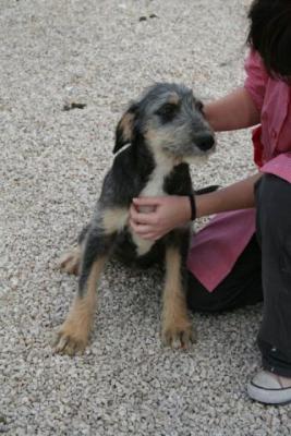 Dona – Hier gibt’s kein Zurück mehr, Familiencouch angesagt!