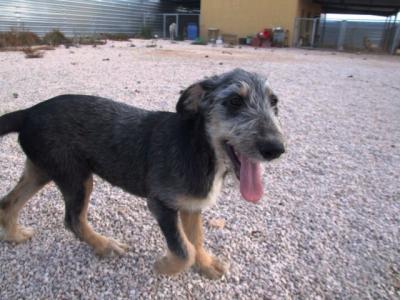 Dona – Hier gibt’s kein Zurück mehr, Familiencouch angesagt!