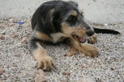 Dona – Hier gibt’s kein Zurück mehr, Familiencouch angesagt!