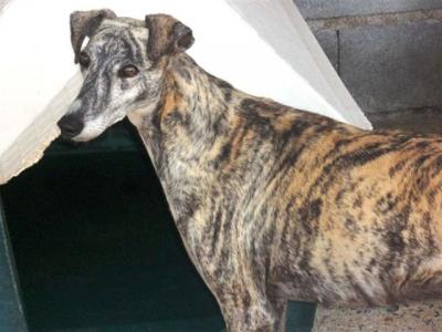 Shena – Cool Girl mit hoffnungsvollem Blick Richtung Familie!