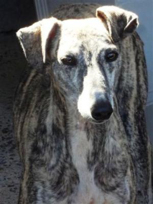 Shena – Cool Girl mit hoffnungsvollem Blick Richtung Familie!