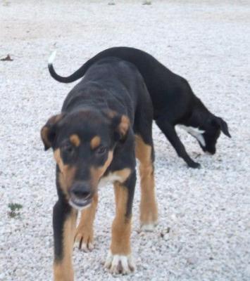 Molly – Wer da Nein sagt, ist’s selber schuld!