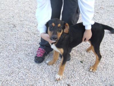 Molly – Wer da Nein sagt, ist’s selber schuld!