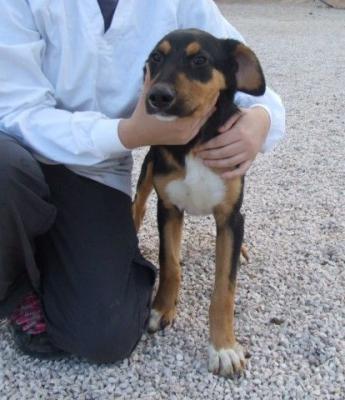 Molly – Wer da Nein sagt, ist’s selber schuld!