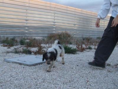 Rizitos – Kleines, armes, liebes Männlein sehnt sich sooo nach Zuwendung!