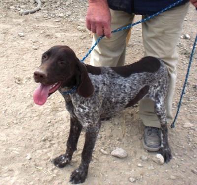 Pekas – Wer bei der Schokomaus zögert, ist’s selber Schuld!