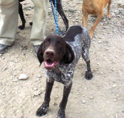 Pekas – Wer bei der Schokomaus zögert, ist’s selber Schuld!