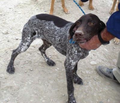 Pekas – Wer bei der Schokomaus zögert, ist’s selber Schuld!