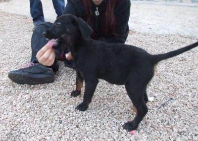 Haldford – Kleiner Mann gaaaanz groß!