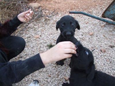 Haldford – Kleiner Mann gaaaanz groß!