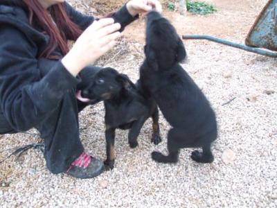 Haldford – Kleiner Mann gaaaanz groß!