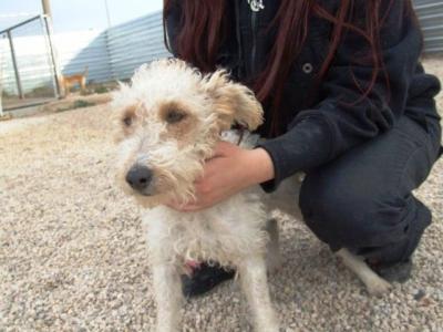 Aida – Alle Foxi Fans an die Couch Front, bitte!