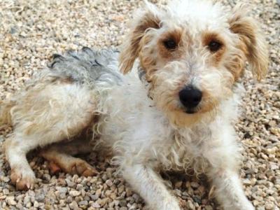 Aida – Alle Foxi Fans an die Couch Front, bitte!