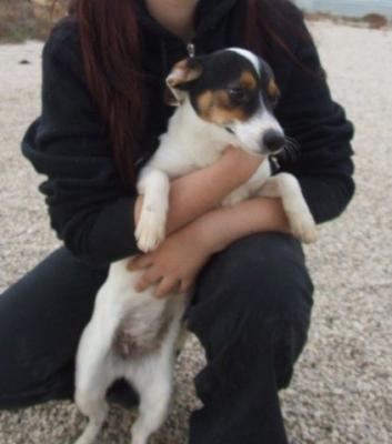 Nani – Hübsche, witzige Zuckerschnute auf Familieneroberungsfeldzug!