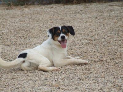 Nani – Hübsche, witzige Zuckerschnute auf Familieneroberungsfeldzug!