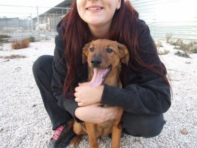 Canela – Liebe, fröhliche Knutschkugel in den Startlöchern!