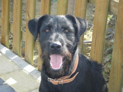 Beko – Der perfekte Kinder-Eltern-Großeltern-Herzensbrecher!