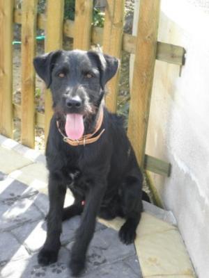 Beko – Der perfekte Kinder-Eltern-Großeltern-Herzensbrecher!