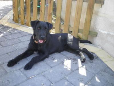 Beko – Der perfekte Kinder-Eltern-Großeltern-Herzensbrecher!