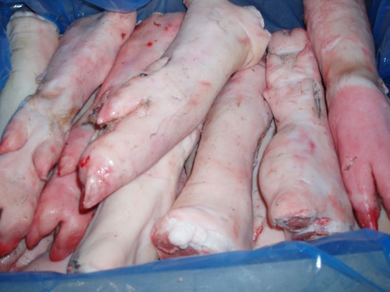 Schweine Hinterpfoten 