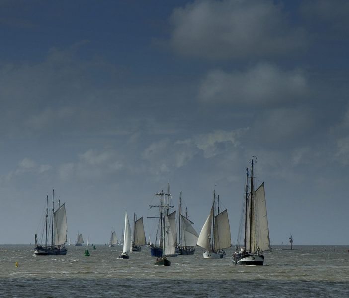 Segeln in der schönen Natur der Niederlande auf Wattenmeer und IJsselmeer