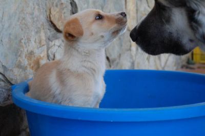 Lala – Knutschkugel Alarm der höchsten Stufe!