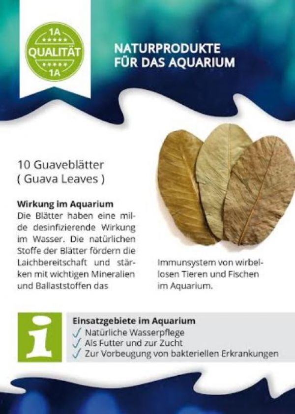 10 Guave blätter 12-15cm (0,18€/1stk) für Aquarium Garnelen Krebse Welse Garnelenfutter