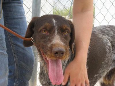 Piluco – Können diese Augen lügen?!