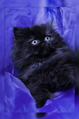 Wir suchen noch ein neues Zuhause!!!