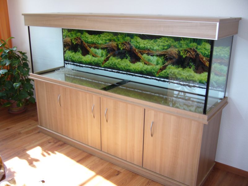 Aquarien nach Kundenwunsch