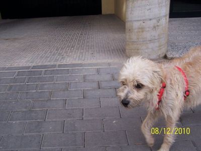 Kika – Hübsche, anschmiegsame Lady auf Schmusekurs!