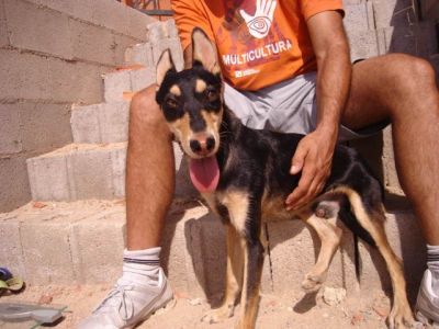 Careto – Optisch außergewöhnlicher Kinderfreund in der Familienoffensive!