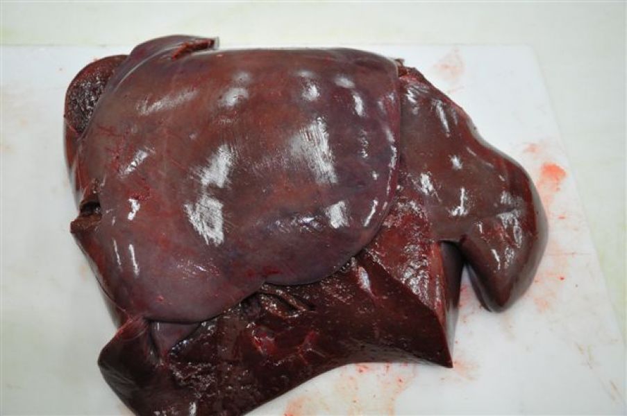 Rindfleisch - Herzen, Leber, Trimmings 80/20