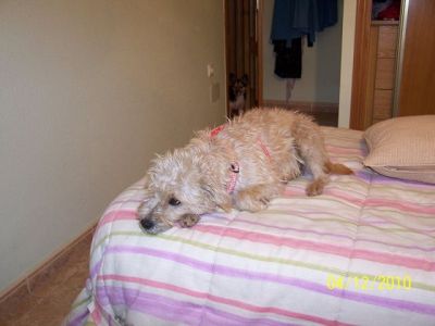 Kika – Hübsche, anschmiegsame Lady auf Schmusekurs!