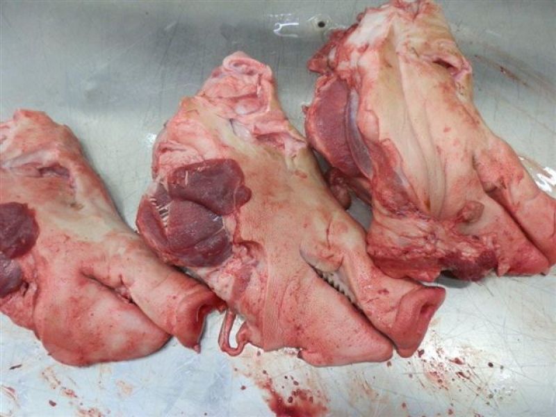 Schweine Koepfe fuer EU