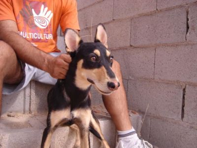 Careto – Optisch außergewöhnlicher Kinderfreund in der Familienoffensive!