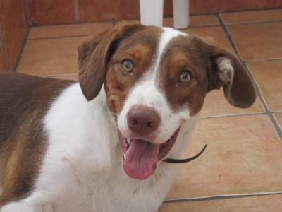 Bécquer – Charmanter Monsieur nimmt Anlauf auf Familiencouch!