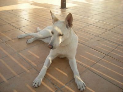 Lina – Bildschönes Beuteschema jeder fröhlichen Familie!