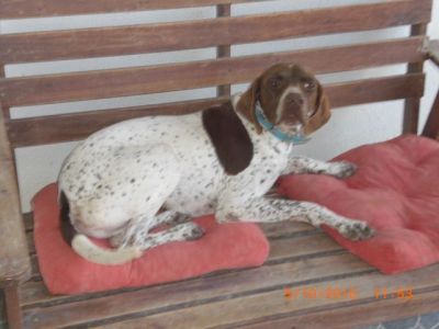 Sheriff – Noblesse und Anhänglichkeit in traumhafter „Jacke“!