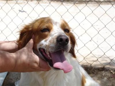 Lalo – Kleines, liebevolles Lalo Küsschen gefällig?